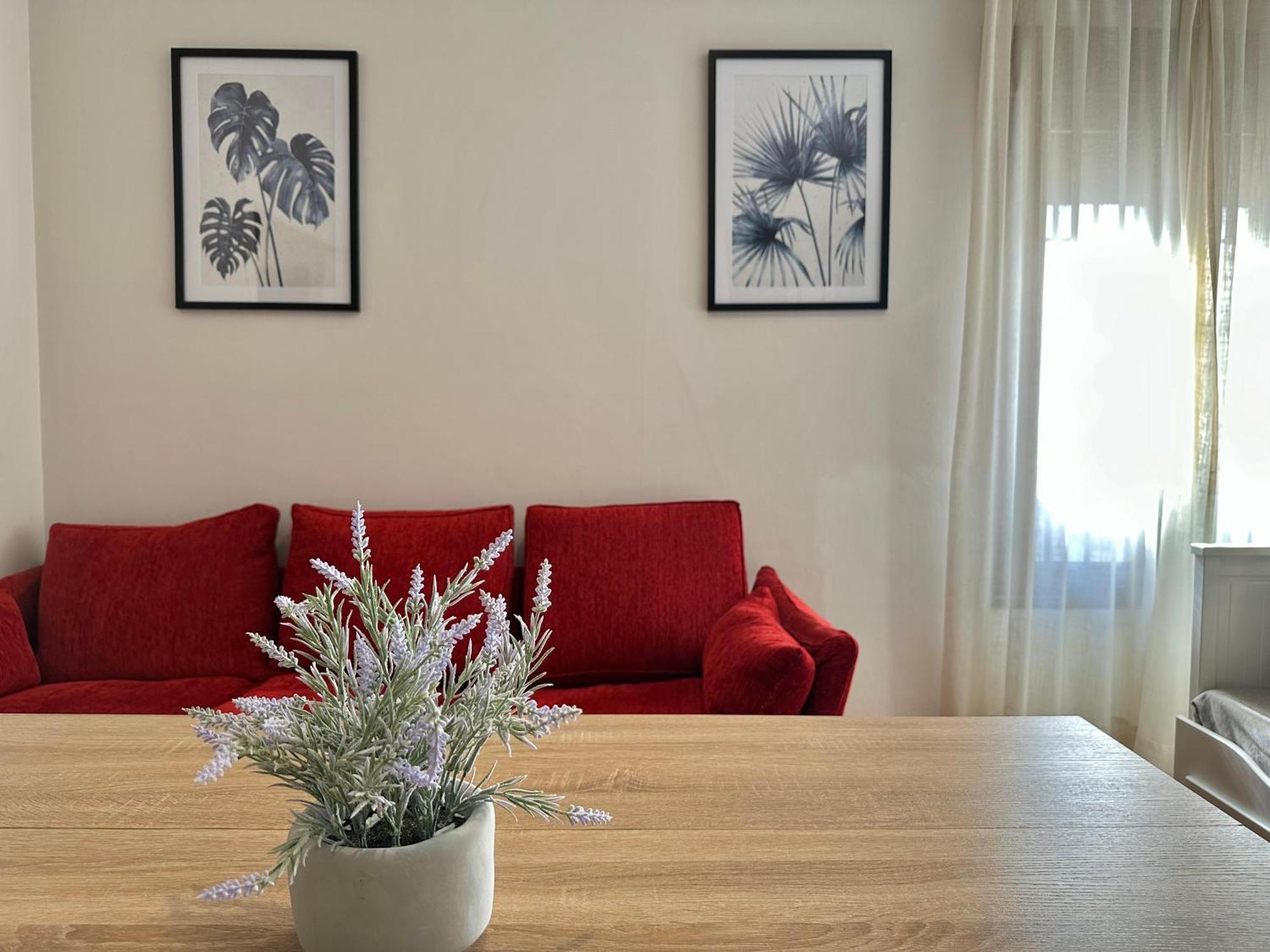 Apartamento La Sacristia De San Pablo Córdoba Exterior foto